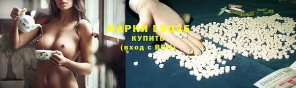 apvp Новодвинск