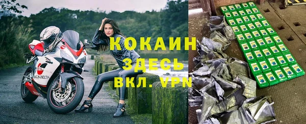 PSILOCYBIN Алзамай