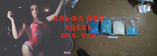 эйфоретик Новокубанск